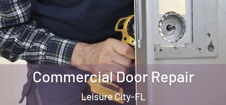 Commercial Door Repair Leisure City-FL