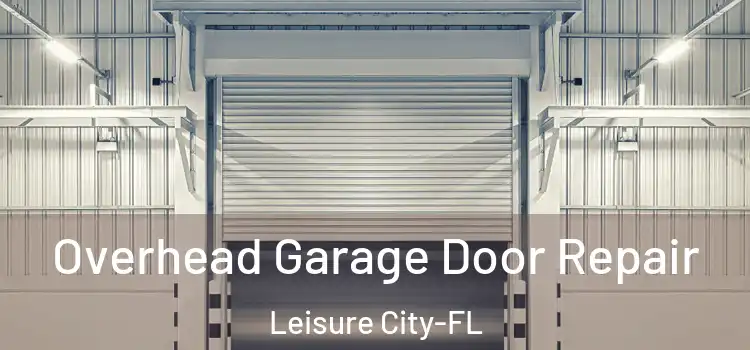 Overhead Garage Door Repair Leisure City-FL